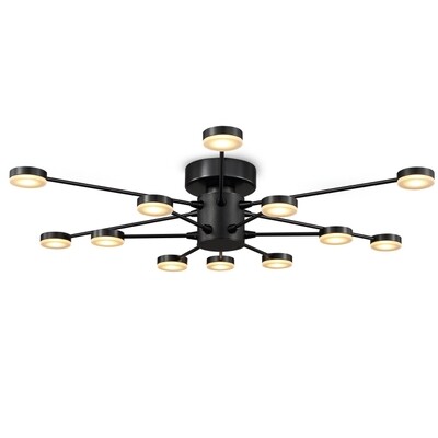 PROLUCE®  Deckenleuchte LBL170, 12x3W, 1440lm, Acryl Diff., Alu+Acryl, schwarz elox., D730 H125,