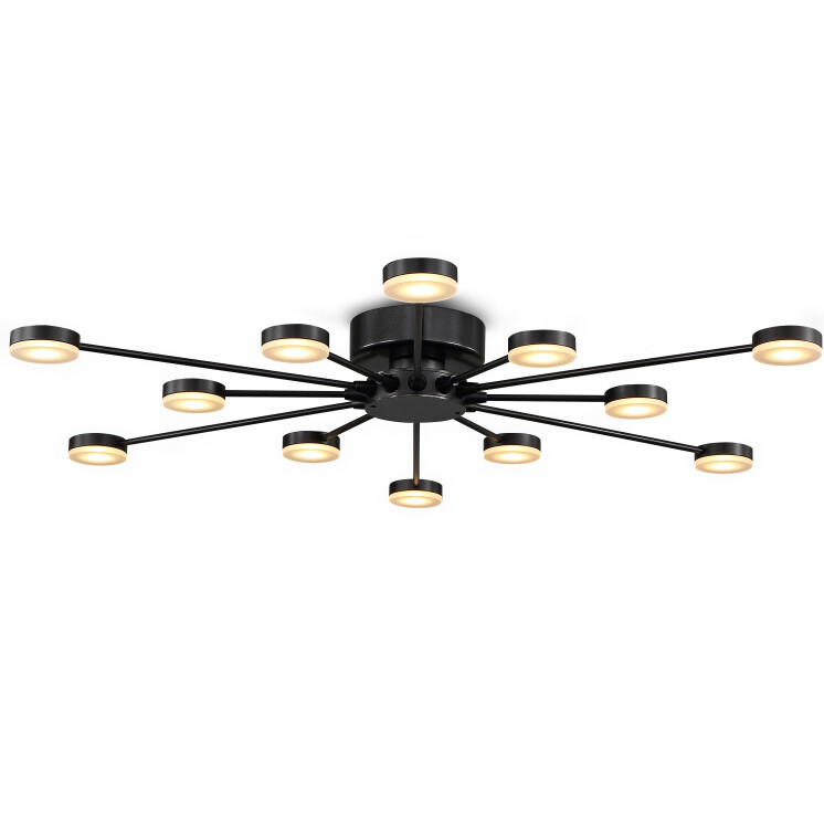 PROLUCE®  Deckenleuchte LBL168, 12x3W, 1440lm, Acryl Diff., Alu+Acryl, schwarz elox., D730 H70
