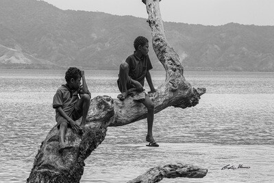Boys in tree, Fergusson Island,  Papua New Guinea. B&W. 10x15 Acrylic