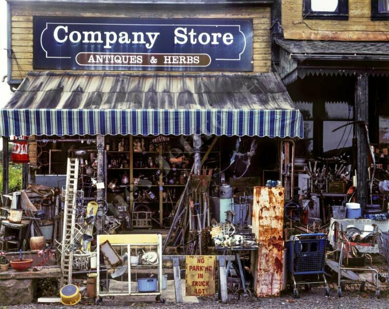 The Company Store