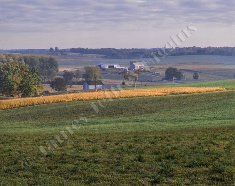 Sunrise At The Farm