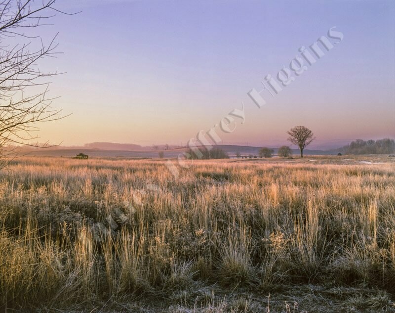 Frosty Morning