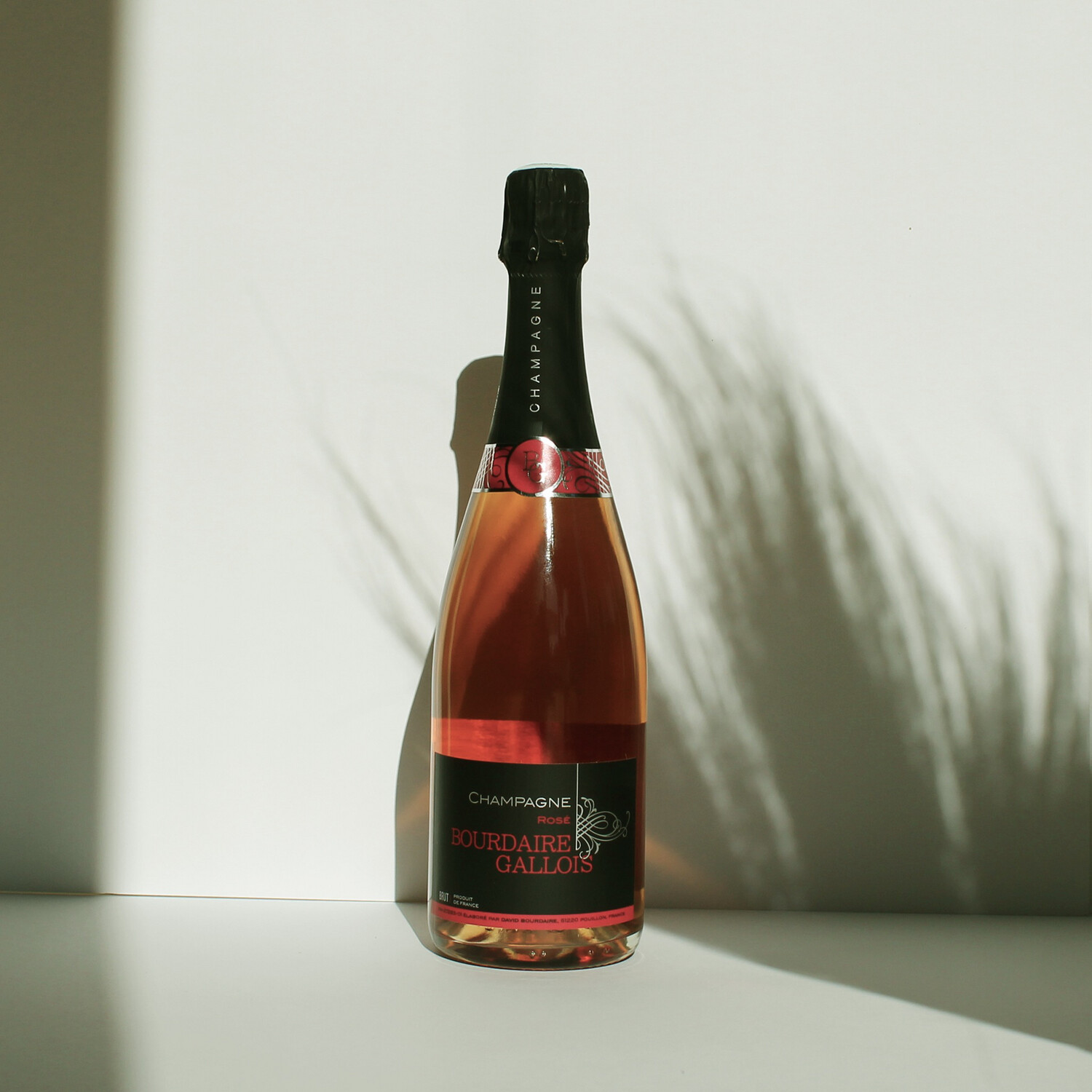 Champagne Rosé