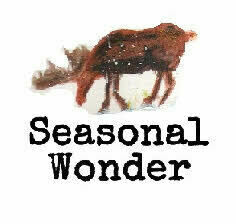 Seasonal Wonder