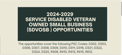 2024-2029 SDVOSB Opportunities