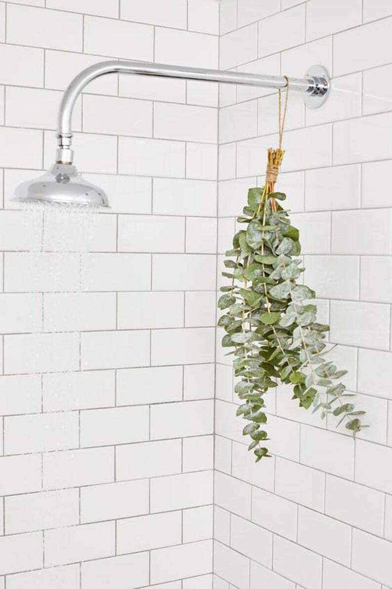 Shower Eucalyptus