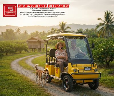 GOLF CART BUGGY
