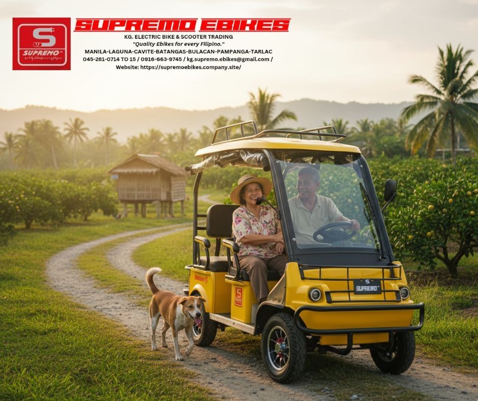 GOLF CART BUGGY