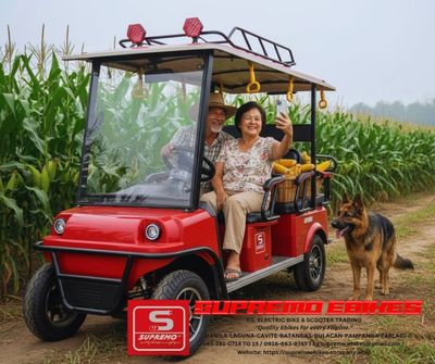 GOLF CART LEISURE