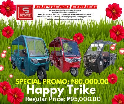 HAPPY TRIKE (FAMILY OR BUSINESS TYPE ELECTRIC BIKE)