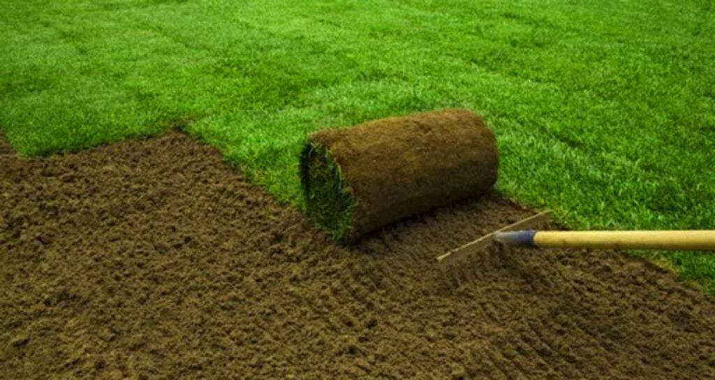 Instant Lawn - Per Square Meter