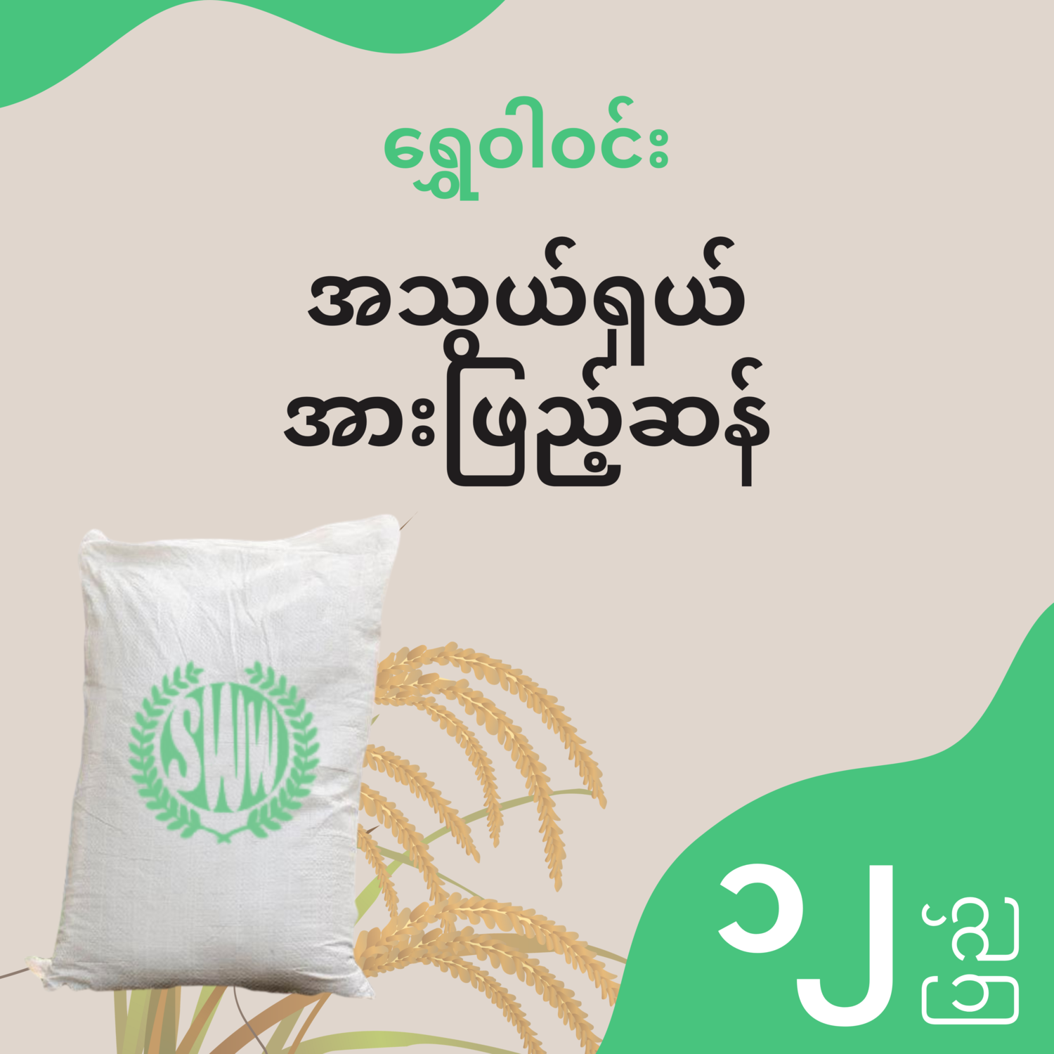 ရွှေဝါဝင်း - အသွယ်ရှယ် အားဖြည့်ဆန် - ၁၂ ပြည်
