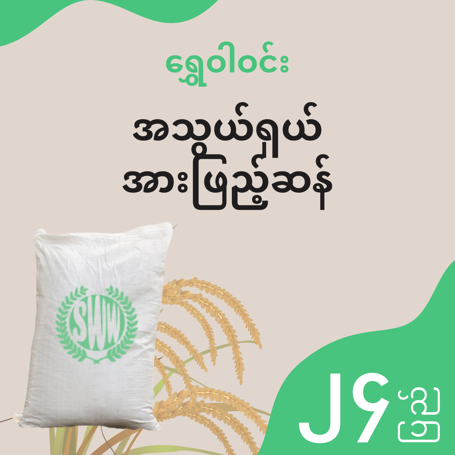 ရွှေဝါဝင်း - အသွယ်ရှယ် အားဖြည့်ဆန် - ၂၄ ပြည်