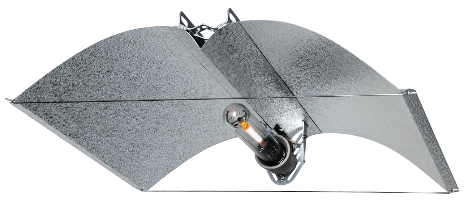 AzerWing Medium