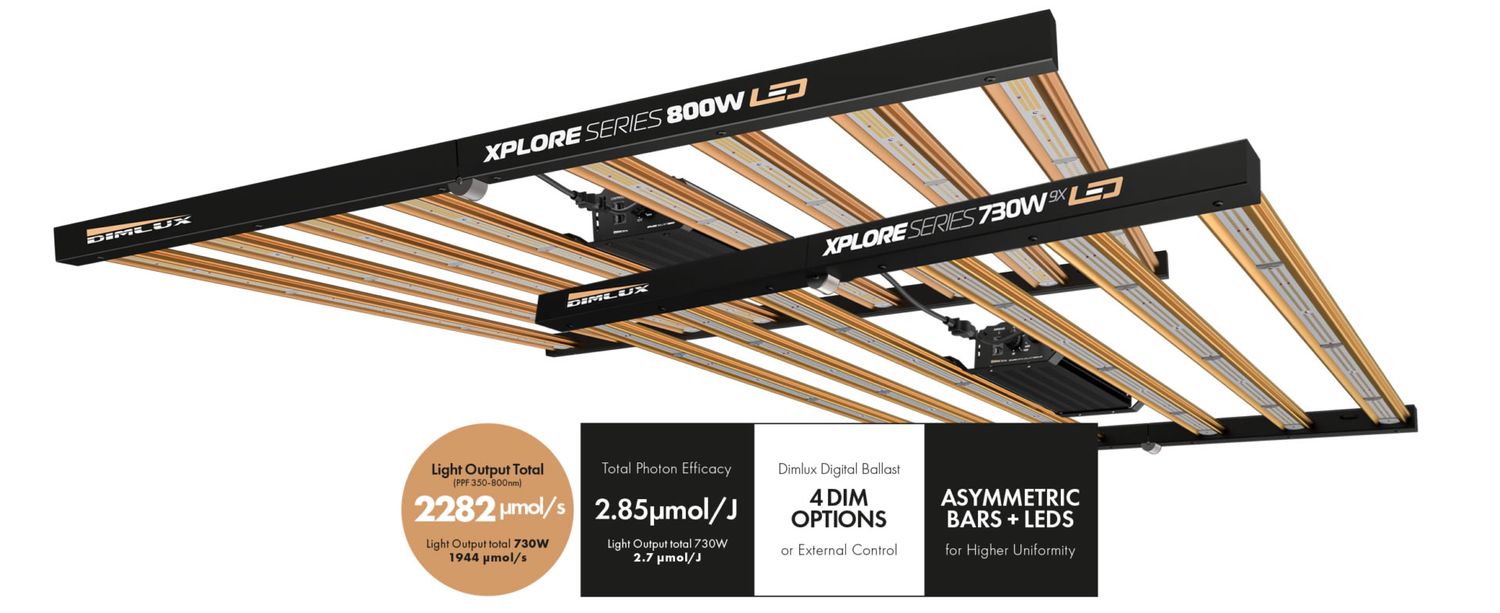 Dimlux Xplore 730W LED
