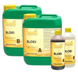 ​Standard BLOOM A&amp;B