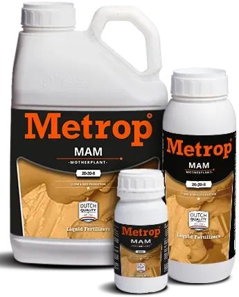 Metrop MAM