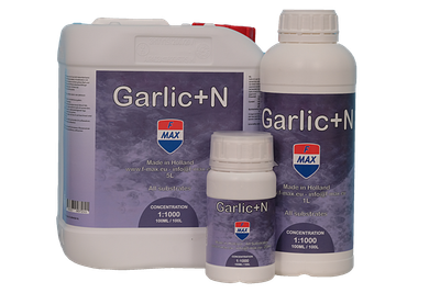 ​Garlic+N