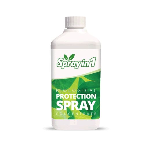 Spray in 1
