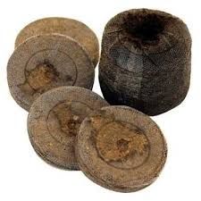 Pressed Coconut Jiffy