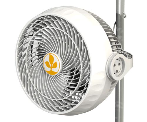 Secret Jardin Monkey Fan 30 Watt