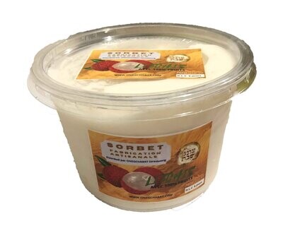 SORBETS 100% FRUITS PARVE POT DE 500ml