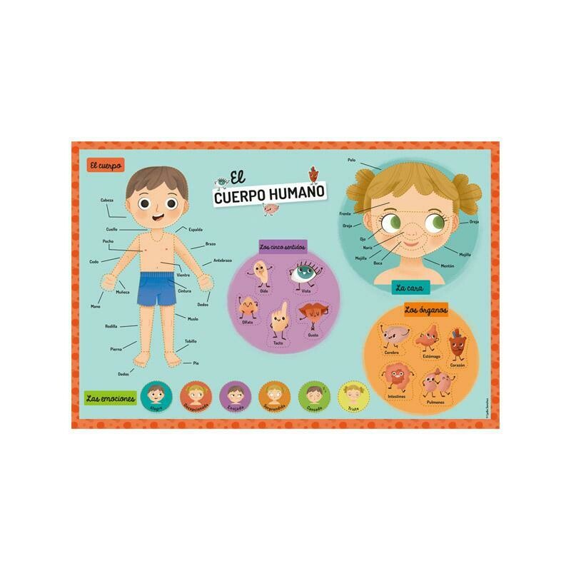 Mi estuche de imanes: Cuerpo humano
