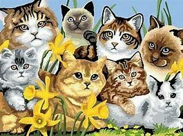PINTANDO CON NUMEROS GATOS Y PERROS