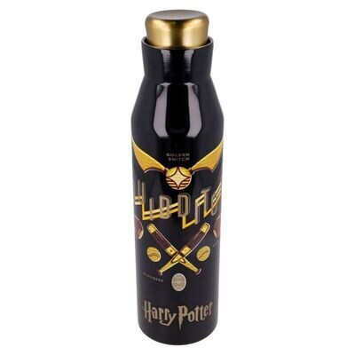 BOTELLA TERMO DIABOLO ACERO INOX. 580ML HARRY POTTER