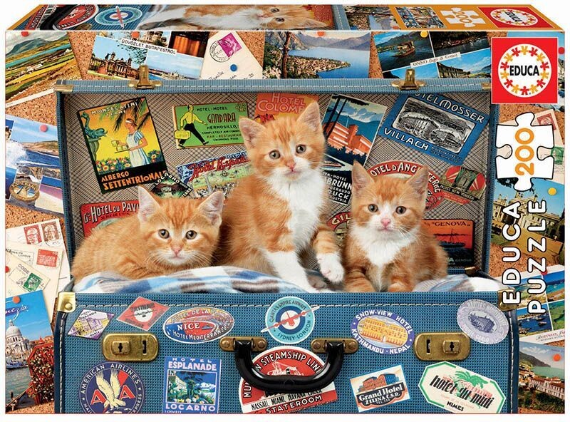 200 Gatitos viajeros