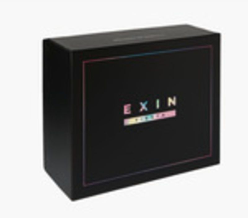 EXIN FIESTA