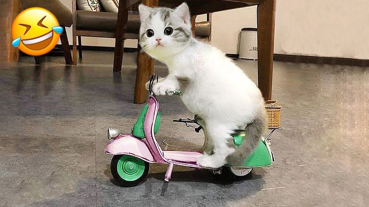 123 Sesame Street - 123 - 123 -test