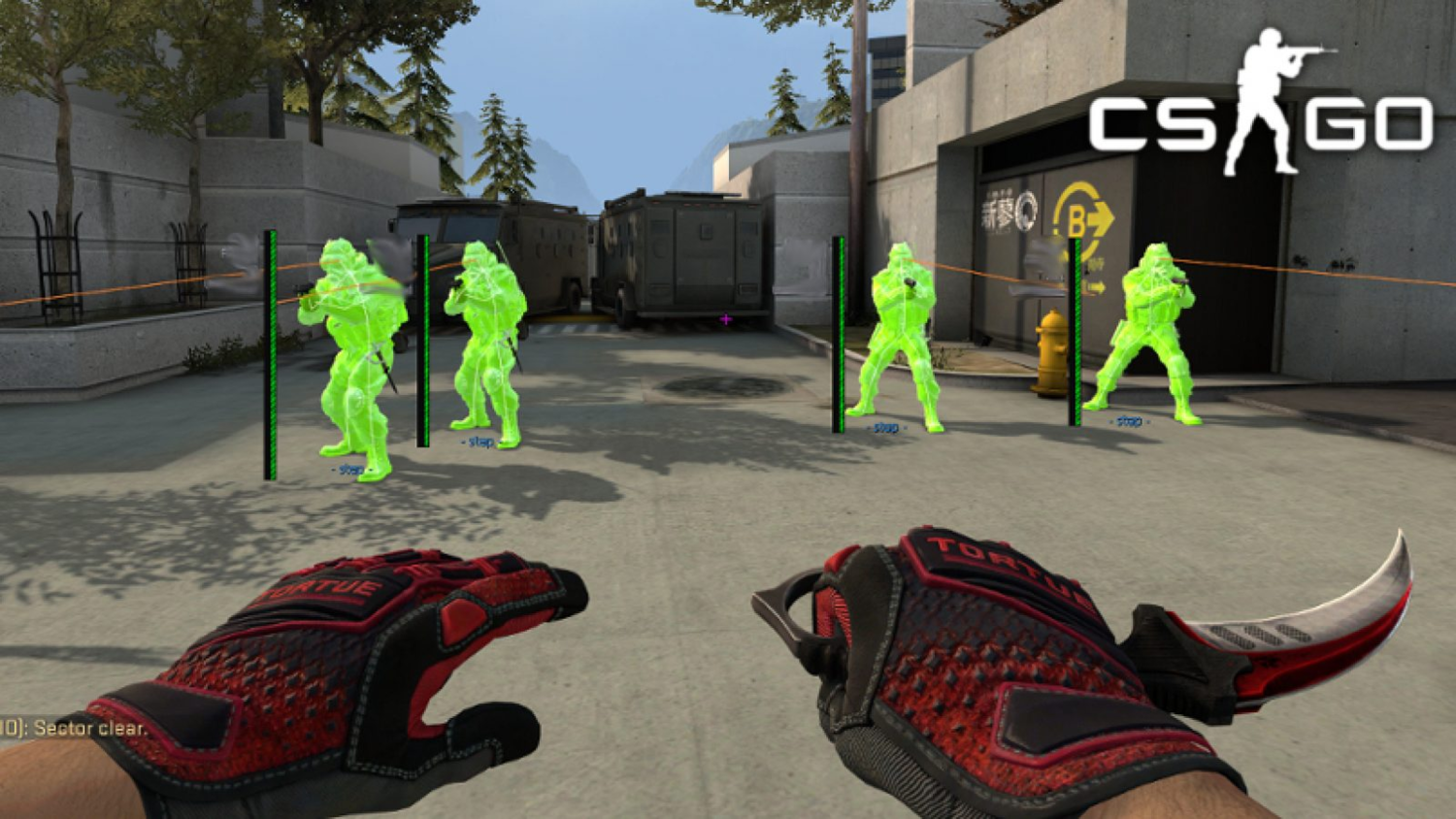 CS:GO Cheats