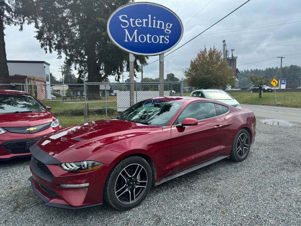 2019 Ford Mustang Fastback
