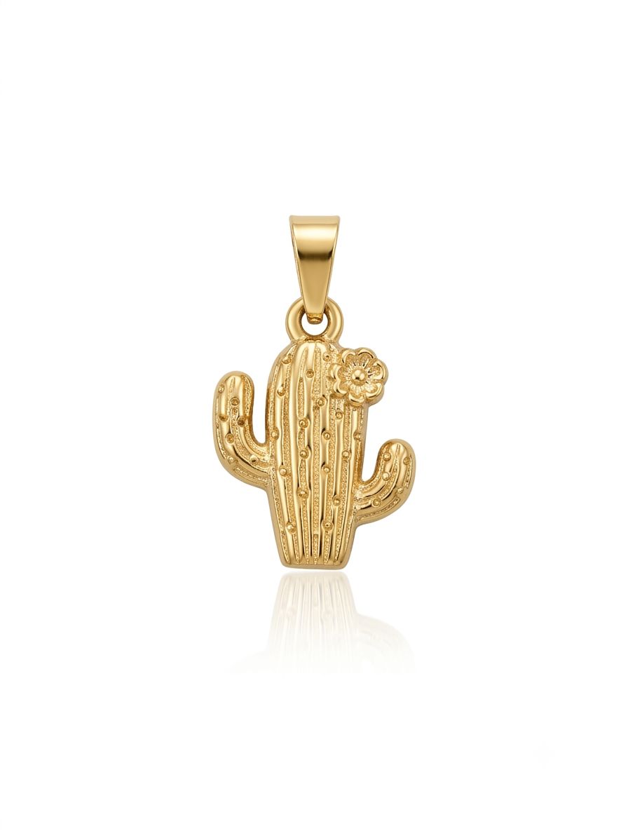 Charm cactus