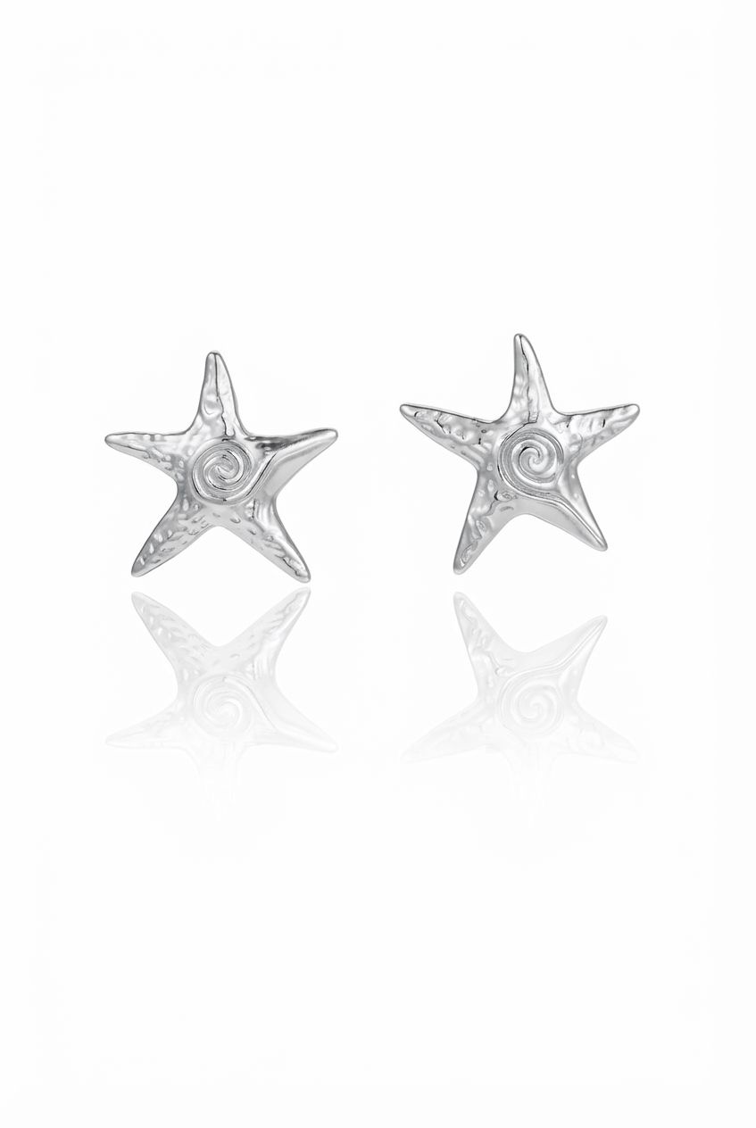 Orecchini stella spirale Silver