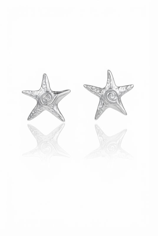 Orecchini stella spirale Silver