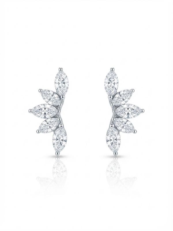 Orecchini corona Silver