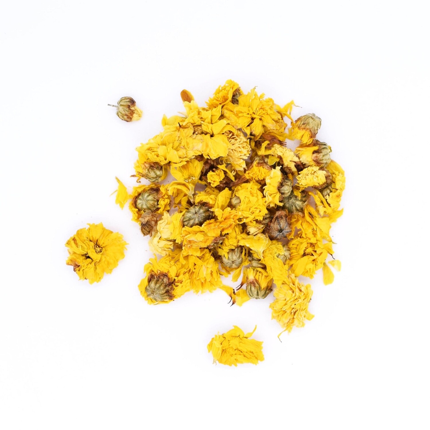 Chrysanthemum