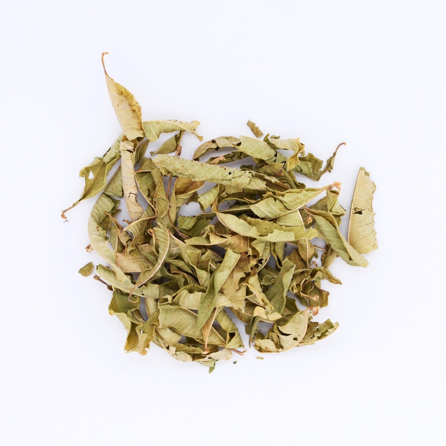 Organic Lemon Verbena