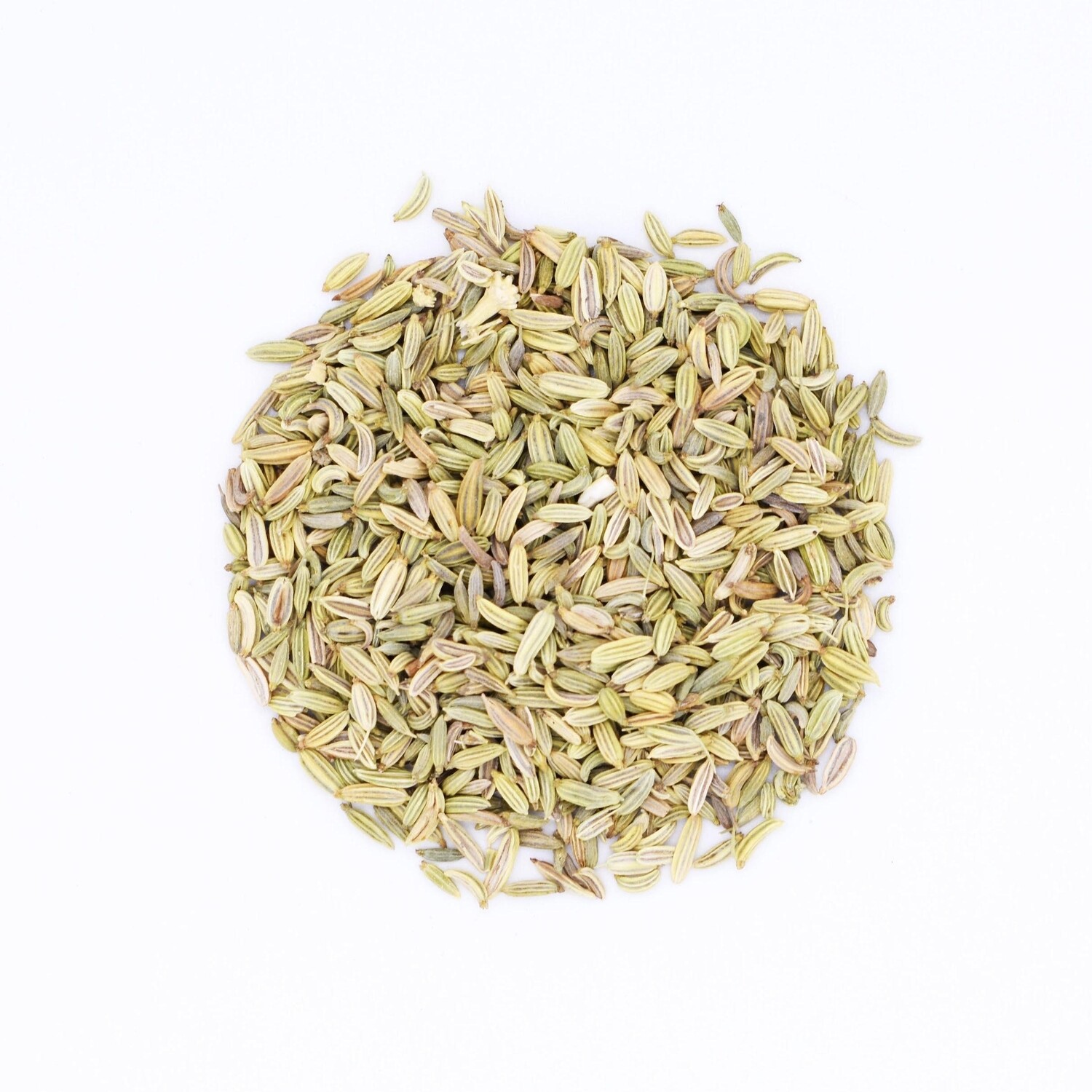 Organic Fennel