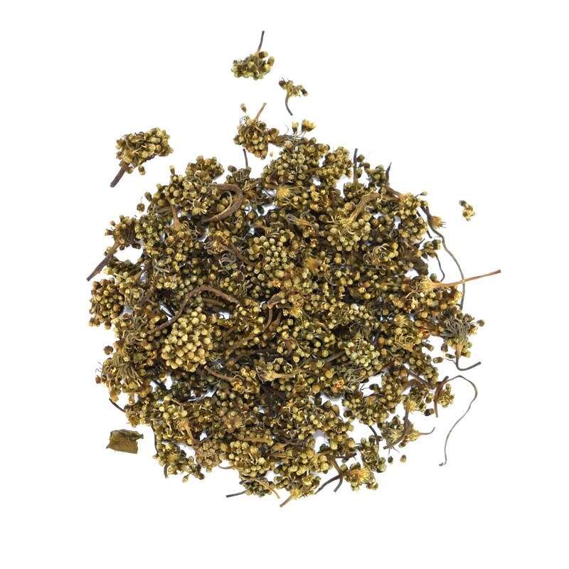 Ginseng Flower