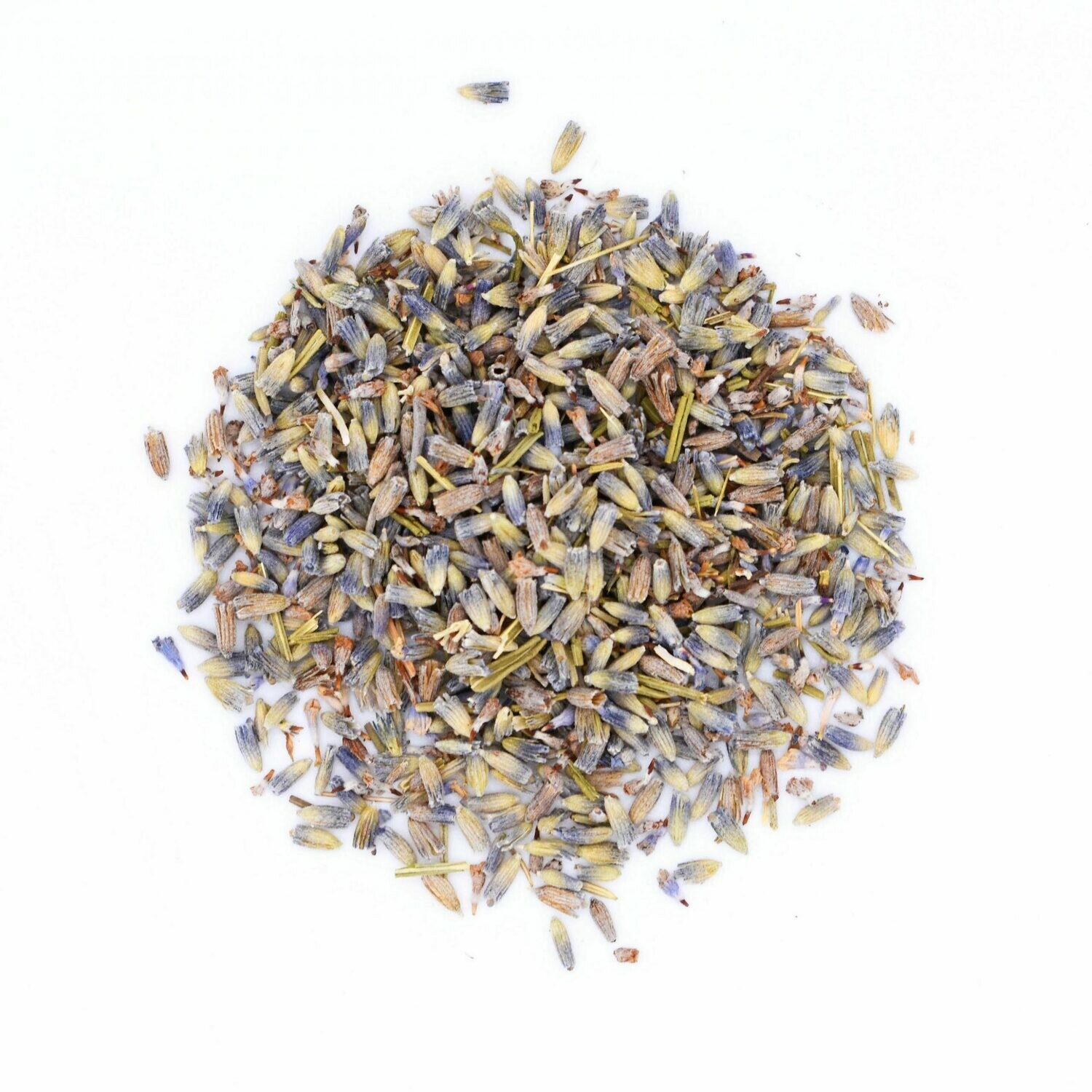 Organic Sunny Side Lavender