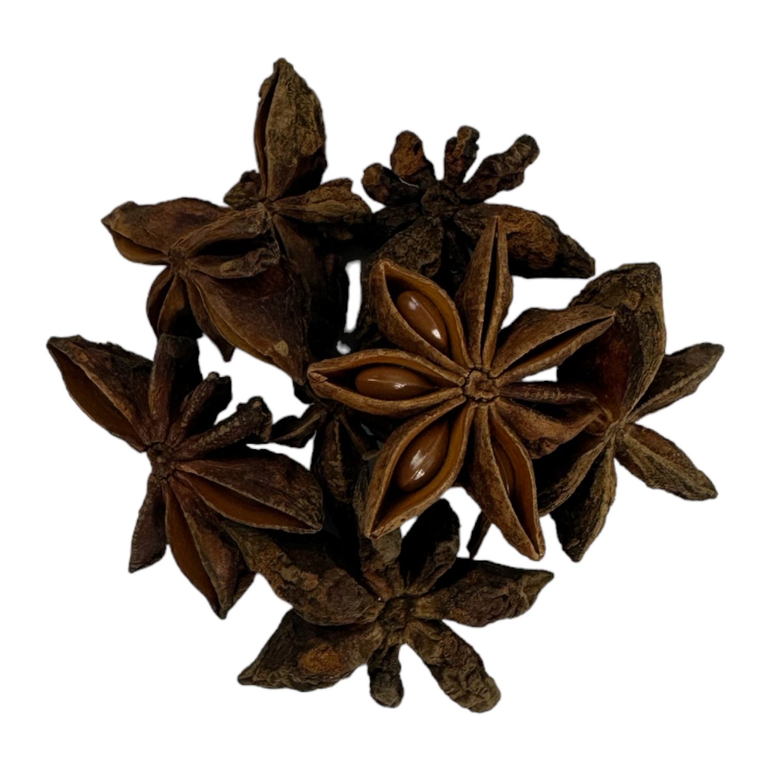 Sternanis ganz