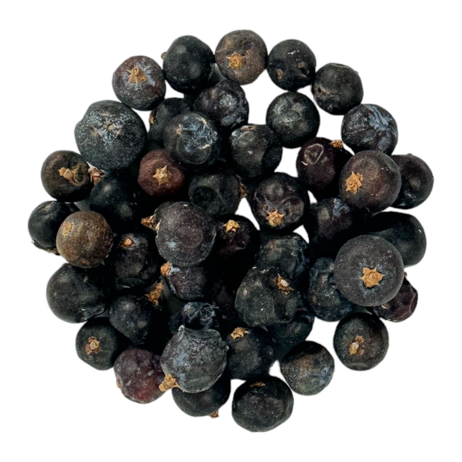 Bio Wacholderbeeren ganz