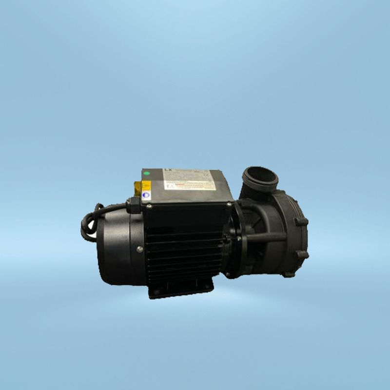 LX LP250 spa pomp AC-63