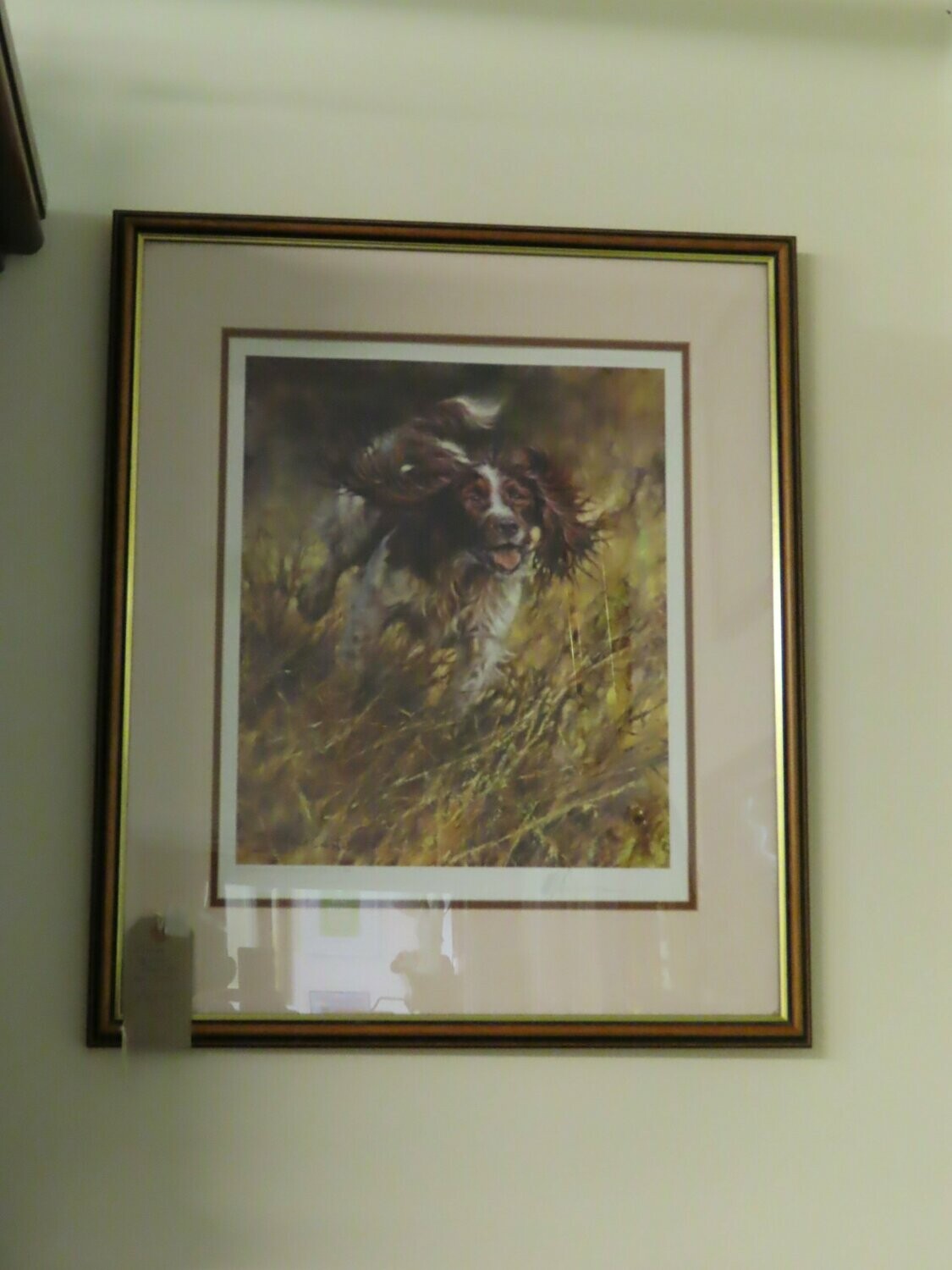 Limited Edition signed Print by Nick Luston. Of working Spaniel  SOLD