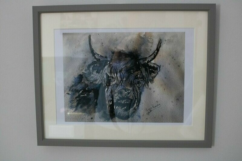 Long Horn Bull - Ink Art Print - by local artist Louise Peacock