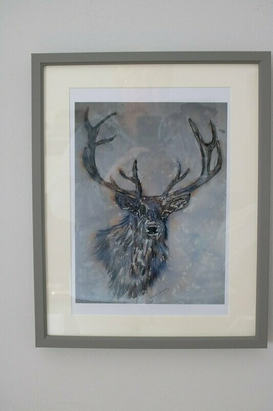Stag - Ink Art Print - by local artist Louise Peacock