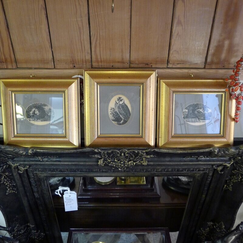 Three framed engravings